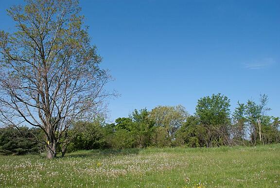 The lot before building began