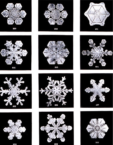 375px-SnowflakesWilsonBentley.jpg