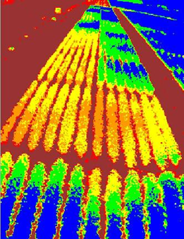 An example of a thermal image on a crop